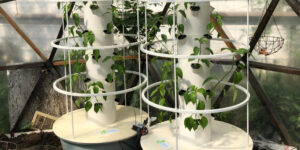 Growing a Hydroponic Tower Garden in a Cold Climate