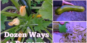 Dozen Ways to Preserve Zucchini