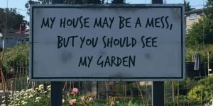 "My house may be a mess, but you should see my garden" - can you relate? Implement the FlyLady System to Support Homesteading.