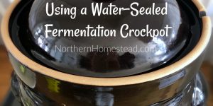 Using a Water-Sealed Fermentation Crockpot